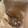 Photo of SL TrashWash