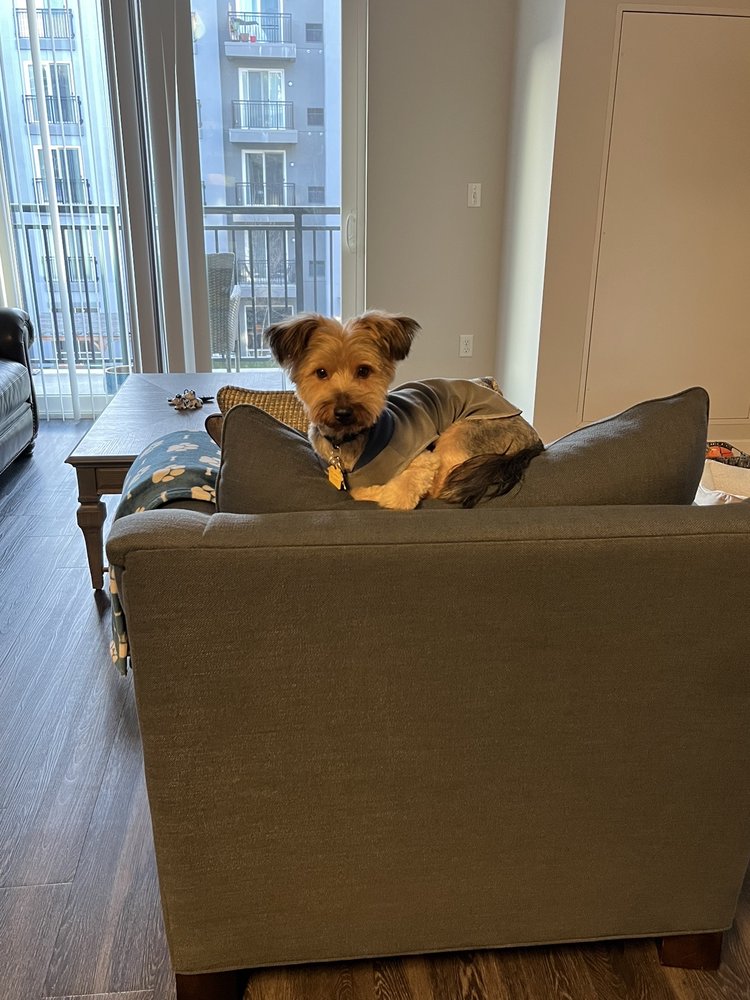 PETCO 10 Photos & 18 Reviews 431 Westport Ave, Norwalk, Connecticut