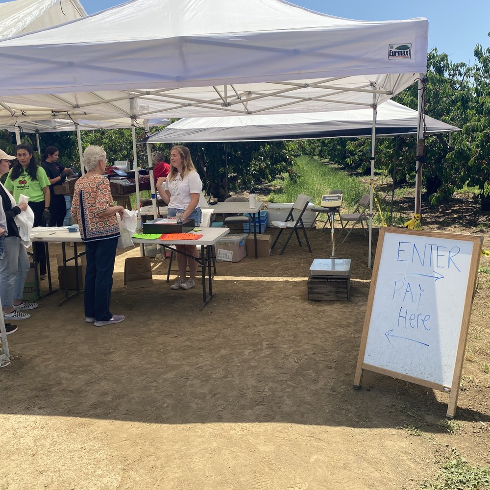 Maggiore Cherry Ranch - Fruits & Veggies Near Me - Brentwood, California