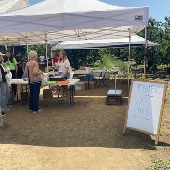 Maggiore Cherry Ranch - Fruits & Veggies Near Me - Brentwood, California