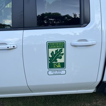 Mike's Tree Service - Certified arborist - Tree Services Near Me - La Porte, Texas
