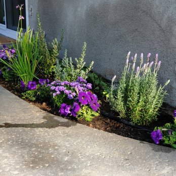 Yard Techs - Annual flower install service. - Gardeners Near Me