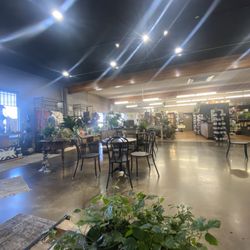 Desert Rose Cafe - Ambiance. Photo taken from the couch. Cafe shares space with the boutique.