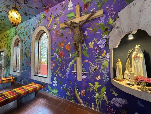 Vallarta Botanical Gardens AC by null