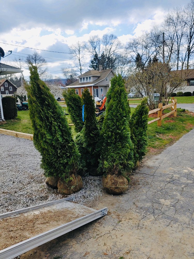 ELLENBURG TREE FARM Updated August 2024 13 Photos Churubusco, New York Farms Phone