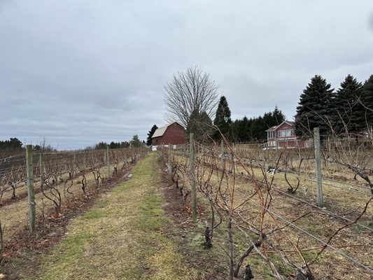 Grand Traverse Bike Tours by null