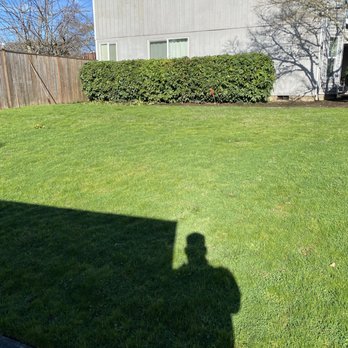 Green Grove Yard Maintenance - Lawn Services Near Me Green Grove Yard Maintenance - Lawn Services Near Me