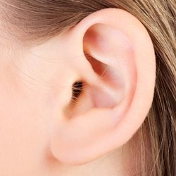 Alps Mtn Affordable Hearing Center