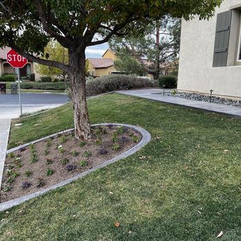 Falcon Hardscapes - Ring around tree - General Contractors Near Me - Beaumont, California