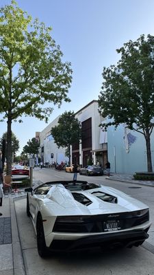 River Oaks District by null