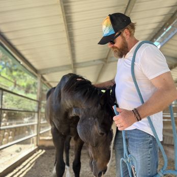 Dirty Bird Ranch - One of the rescue horses - Petting Zoos Near Me