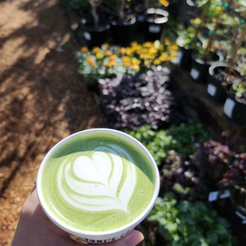 Yumi's Coffee - Matcha latte - Coffee & Tea Near Me - Phoenix, Arizona Yumi's Coffee - Matcha latte - Coffee & Tea Near Me - Phoenix, Arizona