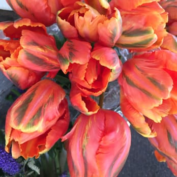 The Bud Stop - Parrot tulips in fantastic orange & green colors - Florists Near Me - San Francisco, California