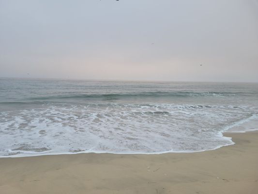 Dunes Beach by null