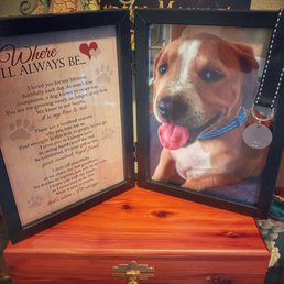 We brought Nala home where she belongs with Ohana. We brought Nala home where she belongs with Ohana.