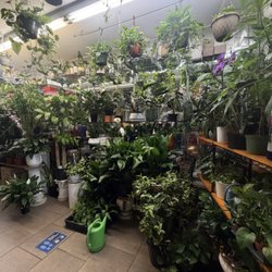 Bens Florist Shop