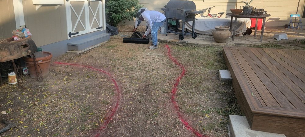 Golden Tree - tree service in Austin, TX