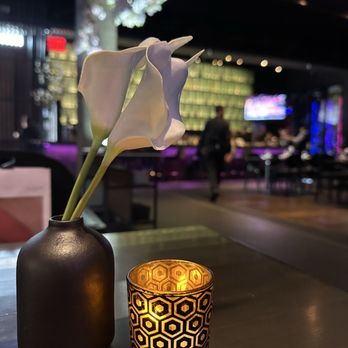 AnQi Bistro - Asian Fusion Near Me - Costa Mesa, California