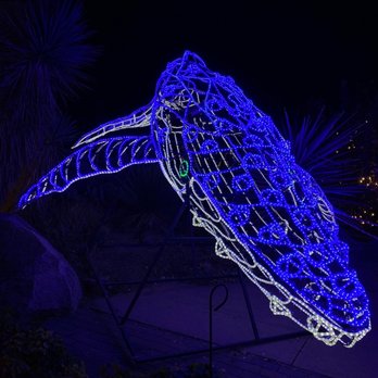 River Of Lights - Festivals Near Me - Albuquerque, New Mexico