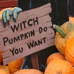 Rickey Ranch Pumpkin Patch
