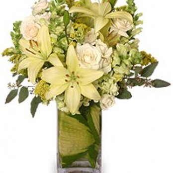Lindas Enchanted Florist - Florists Near Me - Dunnellon, Florida Lindas Enchanted Florist - Florists Near Me - Dunnellon, Florida