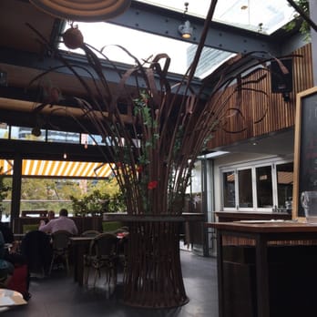 TreeHouse Hotel - under the roof - Australian Near Me - North Sydney, NSW TreeHouse Hotel - under the roof - Australian Near Me - North Sydney, NSW