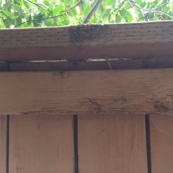 Mark's One Stop Shop - One example of the boards separating from the pressure treated cap. - Tree Services Near Me - Orangevale, California