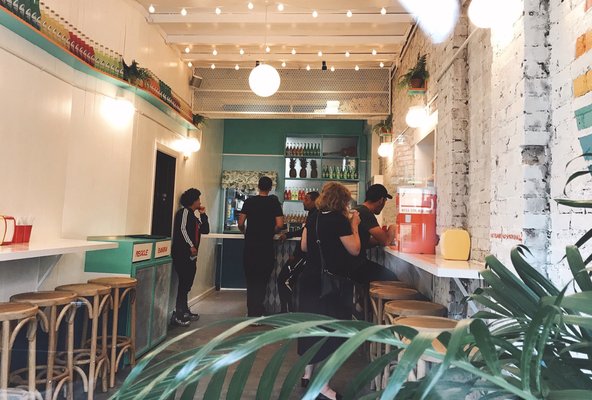 TACO EDITION by null