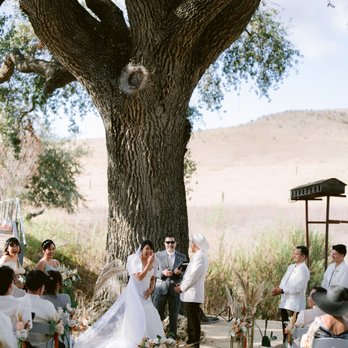 Lisamarie weddings - Wedding Planning Near Me Lisamarie weddings - Wedding Planning Near Me