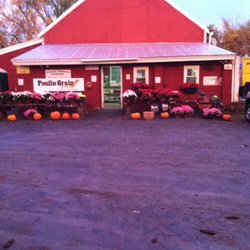 Kelly's Emerald Feeds