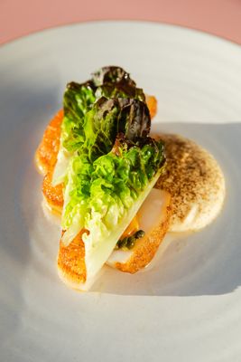 Olive & Rose by null