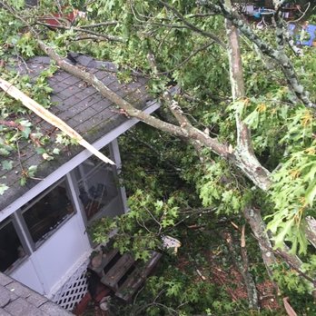 Aable John's Tree Service - Tree Services Near Me - Kennesaw, Georgia Aable John's Tree Service - Tree Services Near Me - Kennesaw, Georgia
