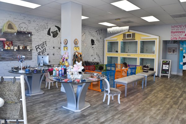 forever love puppies reviews