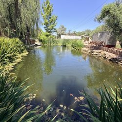 Maggie Henderson, Momentum Real Estate Group - Maggie found us the most unique and perfect property!