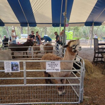 Amber Brooke Farms - Eustis - Pick Your Own Farms Near Me - Eustis, Florida
