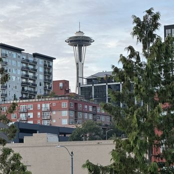 The Edgewater Hotel - View of the Space Needle from my room - Hotels Near Me - Seattle, Washington