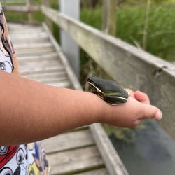 John Bunker Sands Wetland Center
