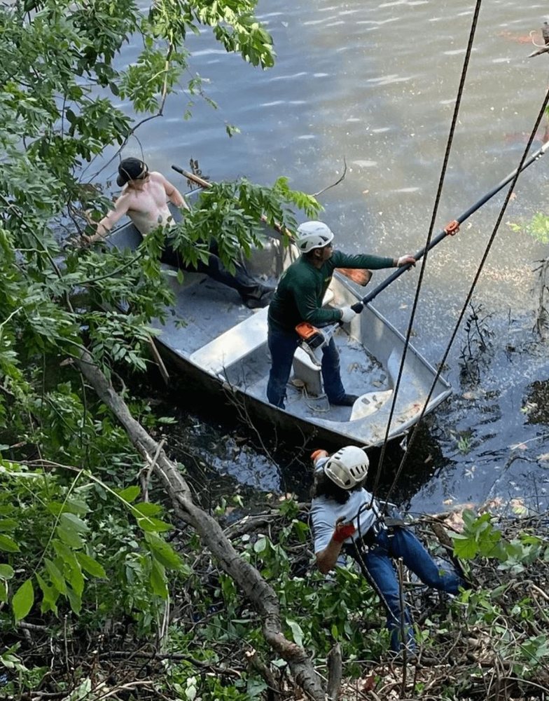 Couch Cut Tree Experts - tree service in Pasadena, MD