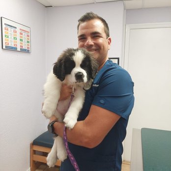 Premier Veterinary Care - Premier Veterinary Care CEO and Senior Attending Veterinarian Dr. Roger Welton. - Veterinarians Near Me - Rockledge, Florida Premier Veterinary Care - Premier Veterinary Care CEO and Senior Attending Veterinarian Dr. Roger Welton. - Veterinarians Near Me - Rockledge, Florida