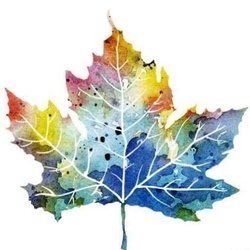 Maple Leaf Painting - We are now on yelp! Remember "We spread the PAINT, you spread the WORD."