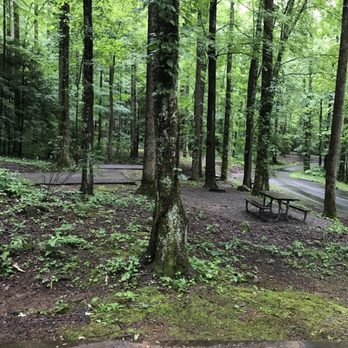 Cosby Campground - Site B-6 - Recreation Centers Near Me - Hartford, Tennessee