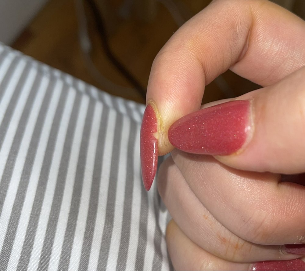 PRO NAILS 36 Photos & 39 Reviews 8305 Ice Crystal Dr, Laurel