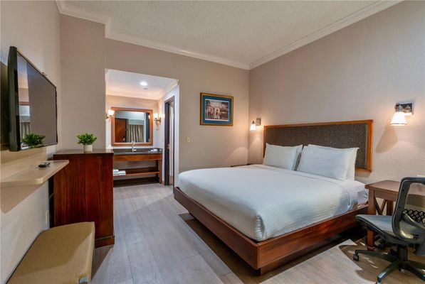 Wyndham Garden Baronne Plaza New Orleans by null