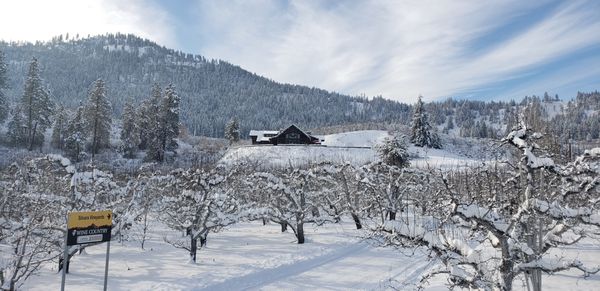 Silvara Cellars by null