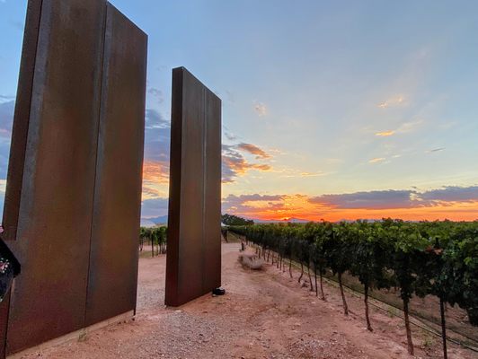 Los Milics Vineyards by null