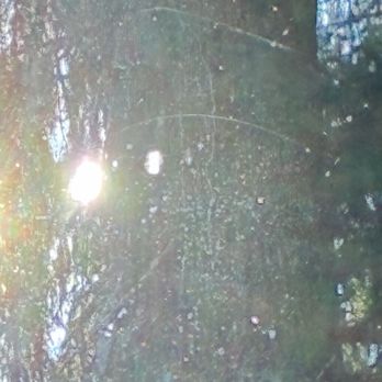 Fox Window Cleaning & Pressure Washing - Spots and streaks after cleaning - Window Washing Near Me Fox Window Cleaning & Pressure Washing - Spots and streaks after cleaning - Window Washing Near Me