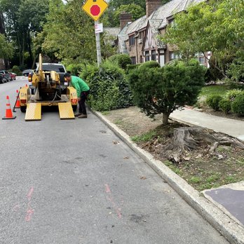 Express Tree Services - Tree Services Near Me - Freeport, New York