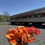Photo of Delaware & Ulster Railroad