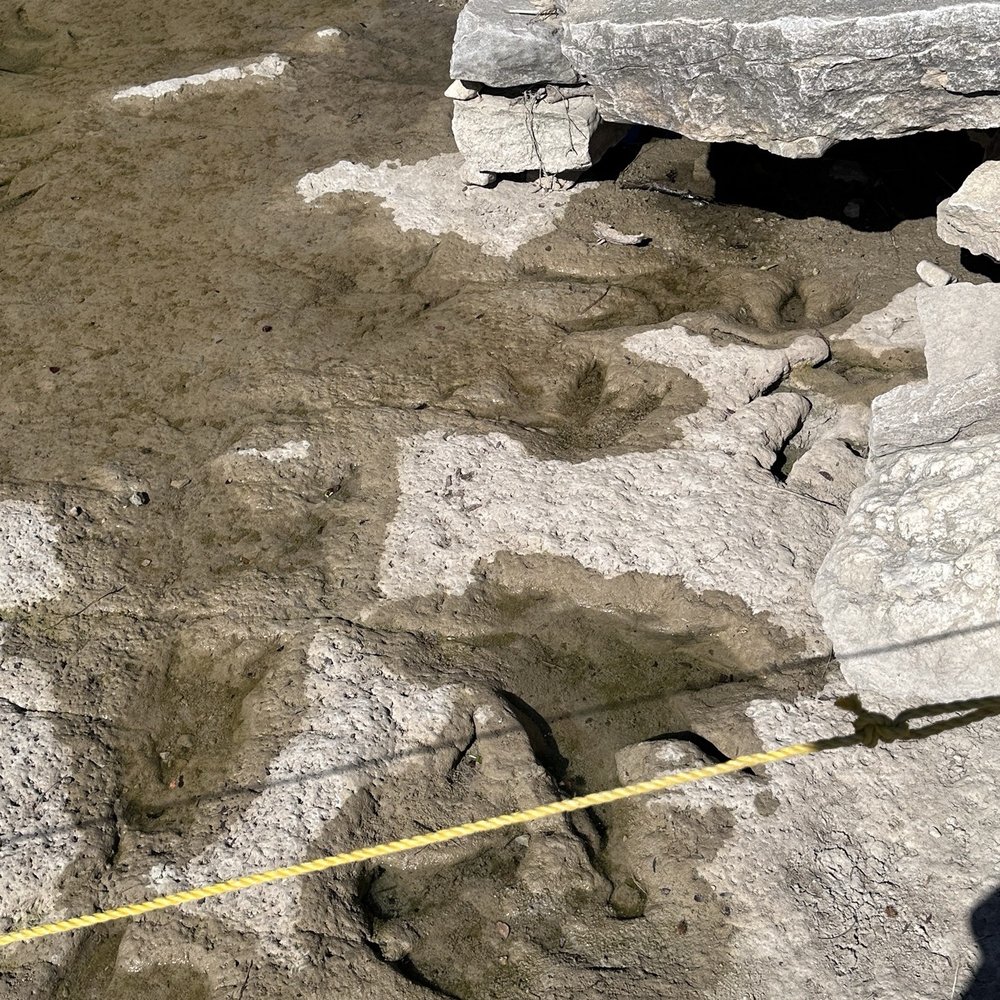 Dinosaur Valley State Park - Dinosaur footprints - Parks Near Me - Glen Rose, Texas