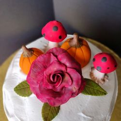Cas' Cakes - Sugar flowers and fondant pumpkins and mushrooms